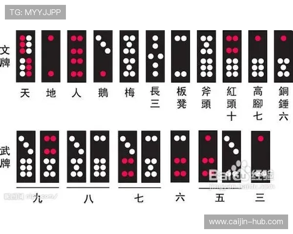 抢庄牌九比赛规则与技巧提升你的竞技水平